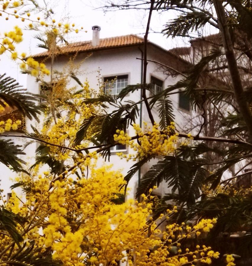 Hotel Casa Do Rio Termas de São Pedro do Sul Esterno foto